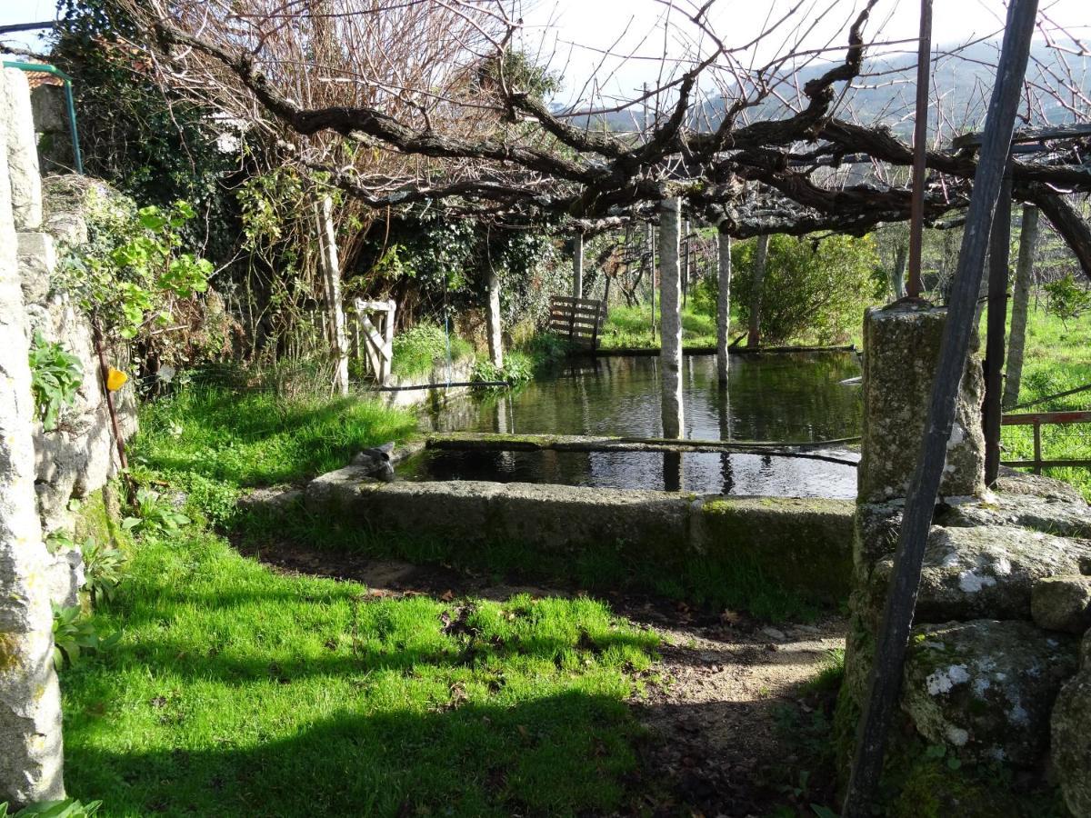 Quinta De S. Cipriano Villa Resende Exteriör bild