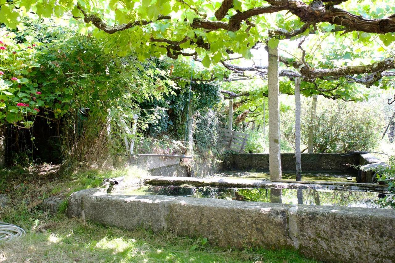 Quinta De S. Cipriano Villa Resende Exteriör bild