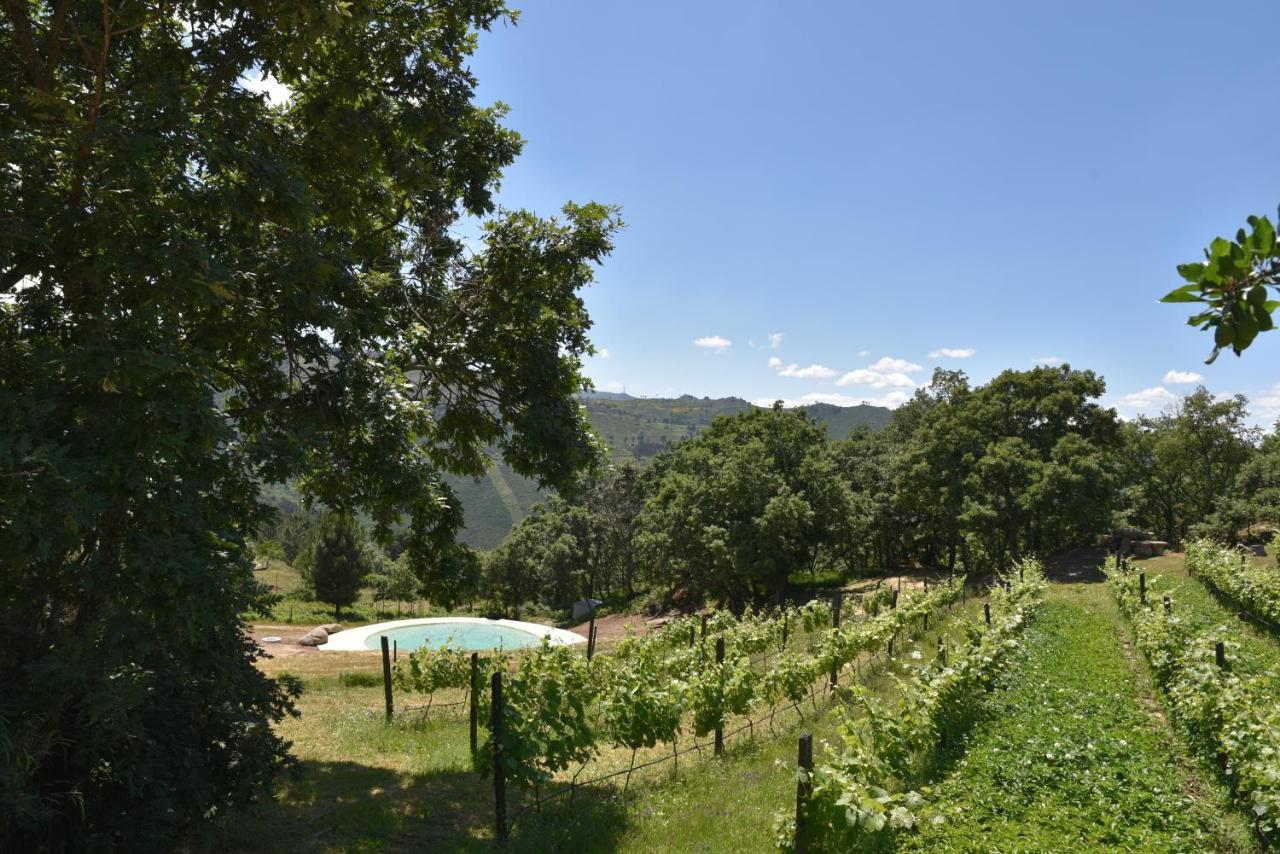 Quinta De S. Cipriano Villa Resende Exteriör bild